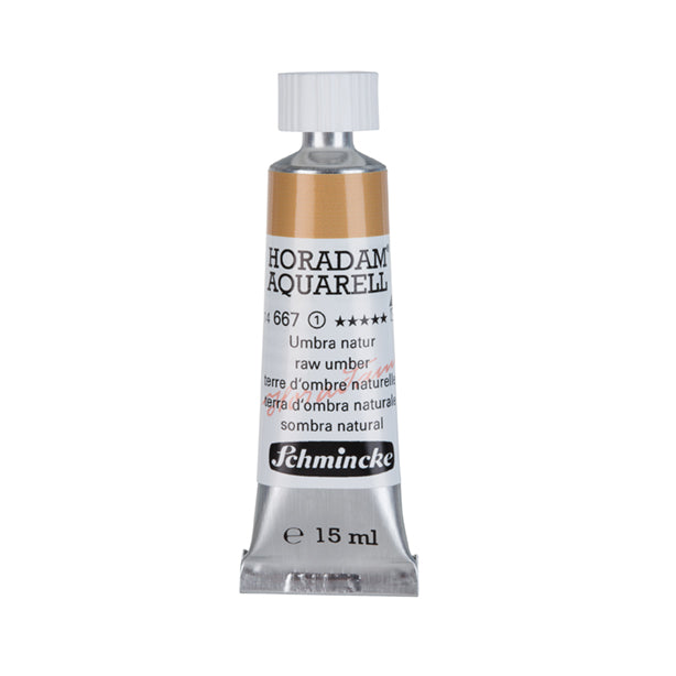 667 Raw Umber
