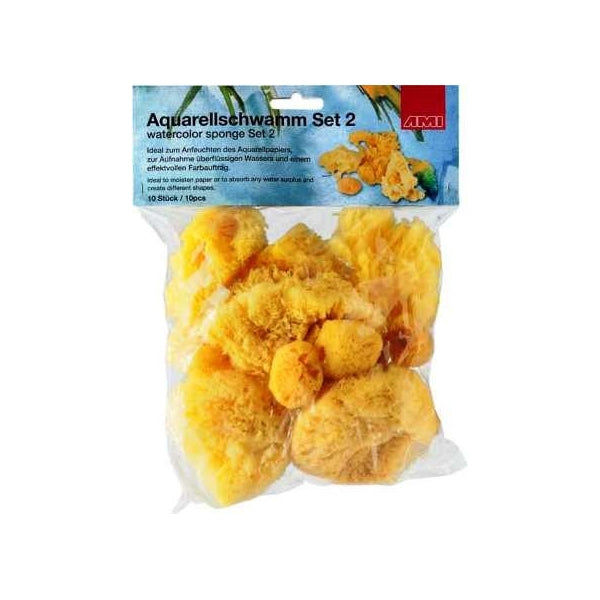 AMI Set de 10 esponjas naturales